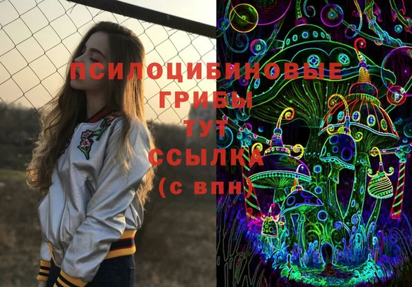 круглые Алзамай