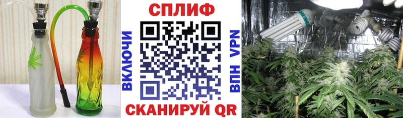 Шишки марихуана White Widow площадка как зайти Инсар